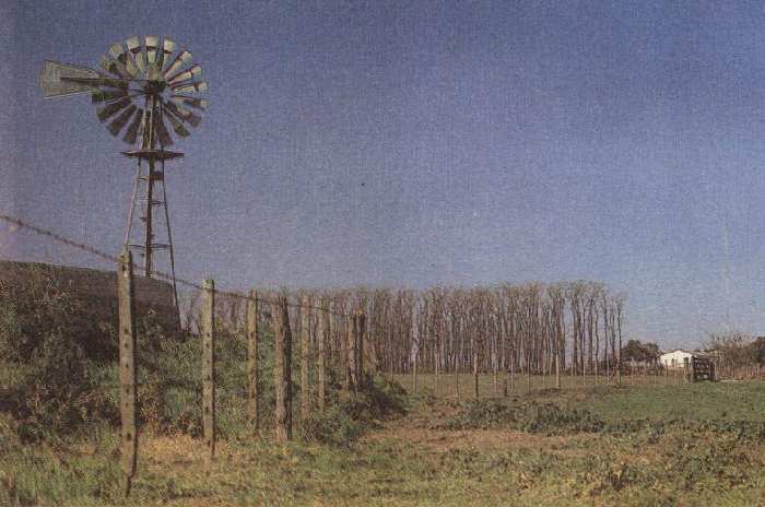 IMAGENES DE LOS TOLDOS