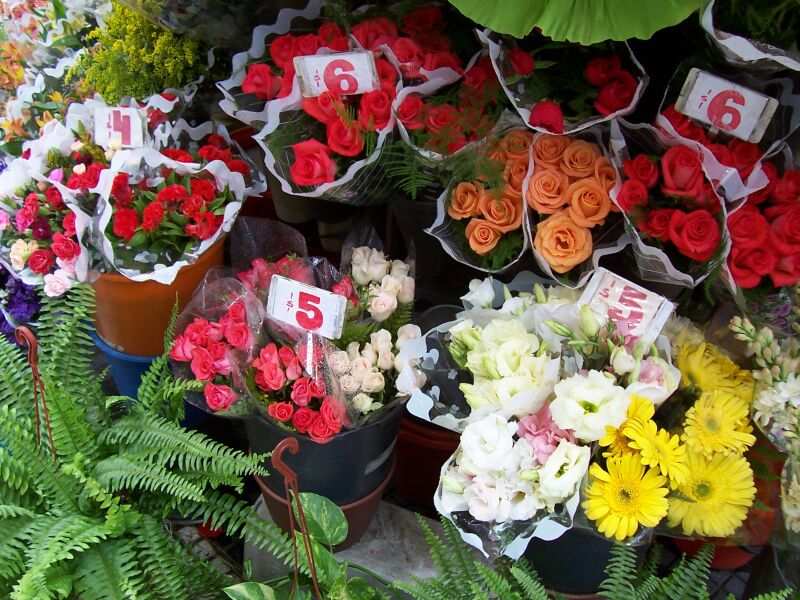 PASEO POR BUENOS AIRES RECORDANDO A EVITA